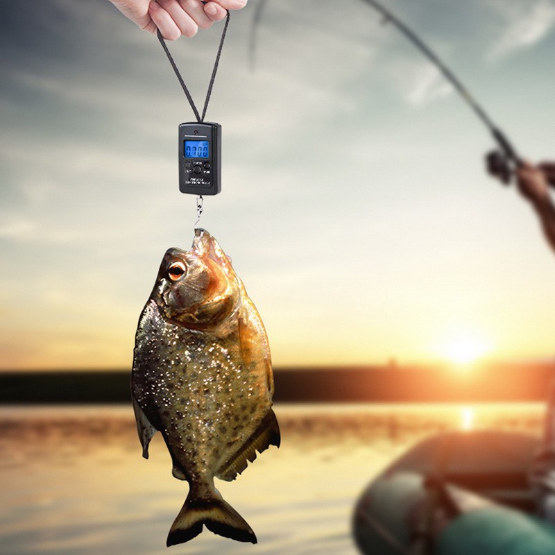 Cân Hành lý điện tử mini cầm tay đa năng 40kg / 10g