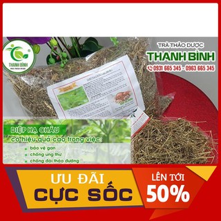 Cây Diệp Hạ Châu Khô - 1kg - Thảo Dược Uy Tín