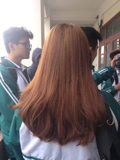 Nâu hạt dẻ sữa