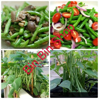HẠT GIỐNG ĐẬU COVE LÙN (50GRAM)