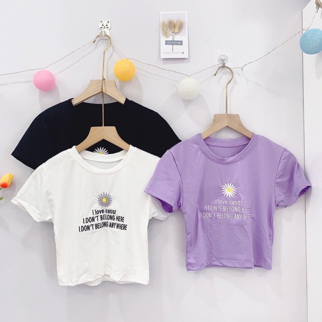 ❤️Áo Cortop Thêu Hoa Cúc❤️ chất thun lạnh mềm mịn , free size dưới 55kg vừa | BigBuy360 - bigbuy360.vn