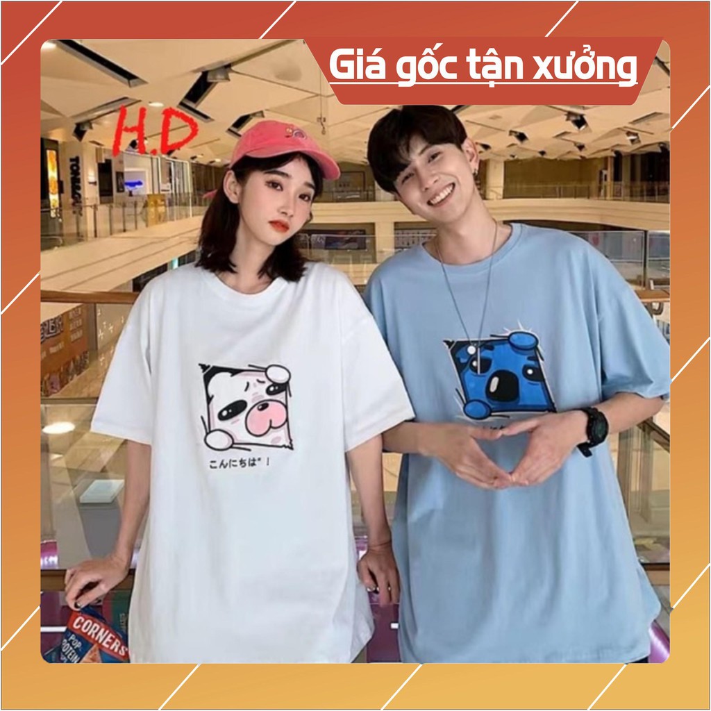 Áo đooi chó chữ nhật HĐ12