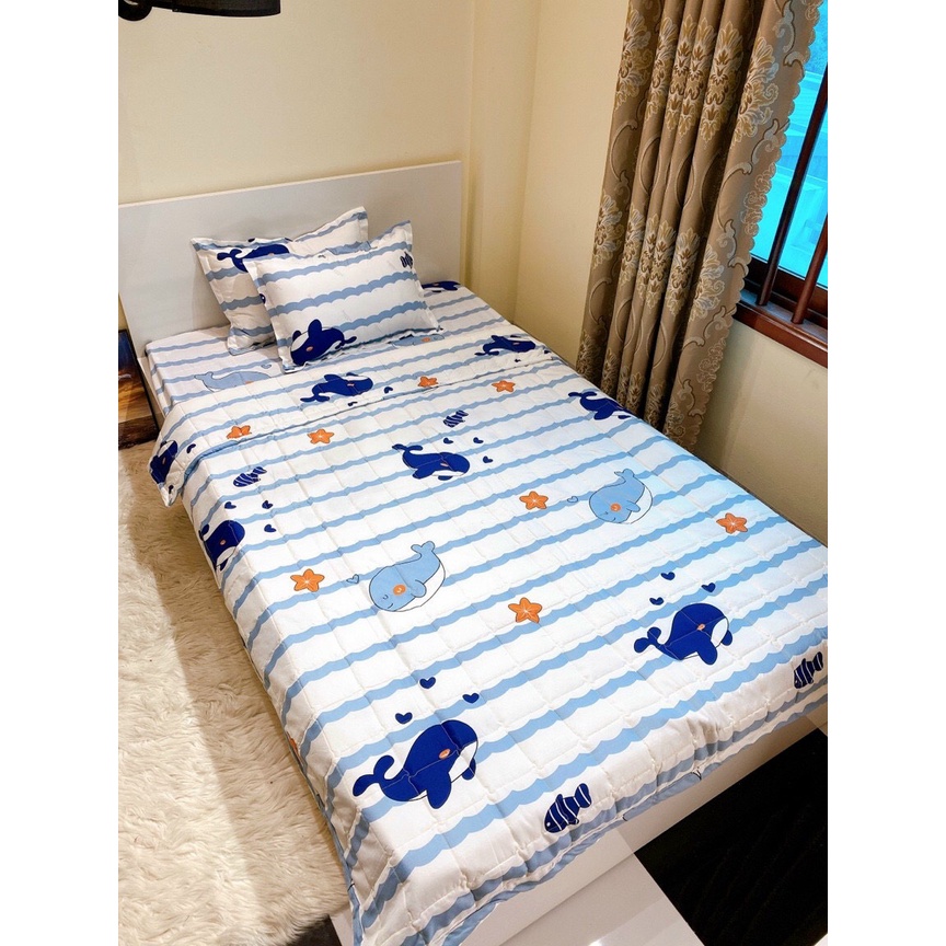 Ga trải giường bo chun bọc đệm[1m8x2m,2mx2m2]