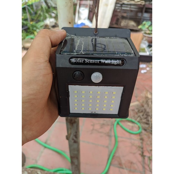 đèn năng lượng mặt trời dành cho cây bắt mồi