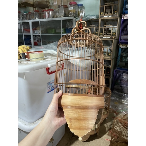 Lồng hút mật chân cao