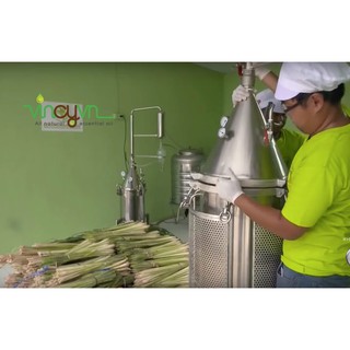 Combo 3 lọ tinh dầu sả chanh 10ml