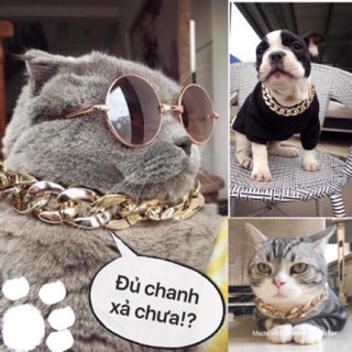 Dây chuyền rich kid cho chó mèo