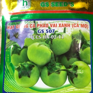 HẠT GIỐNG CÀ PHÁO XANH CAO SẢN (gói 2gr)