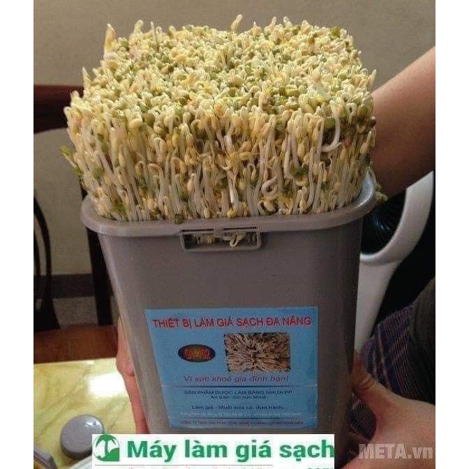 💥💥MÁY LÀM GIÁ ĐỖ