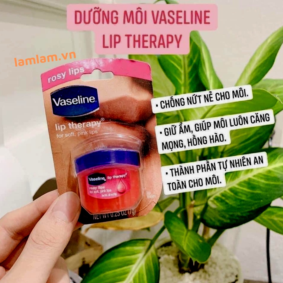 Dưỡng môi Vaseline Lip Therapy - Cocoa Butter, 7g