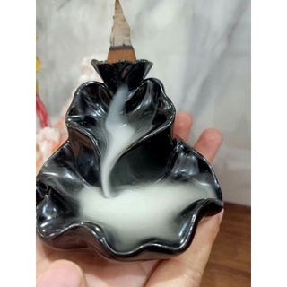 Nụ Quế thông Noom ( 38 nụ)