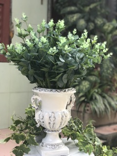 Lá táo nhỏ