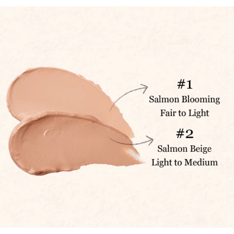 Che khuyết điểm Skinfood Salmon Darkcircle Concealer Cream 10g