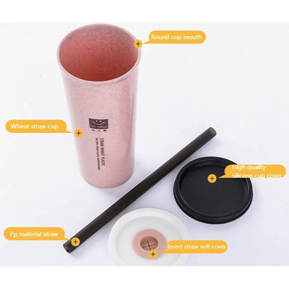Wheat Straw Tumbler Straw Bottle Nordic Color Silicone Cup Cover Leakproof Hot Water Cup 4 Colors