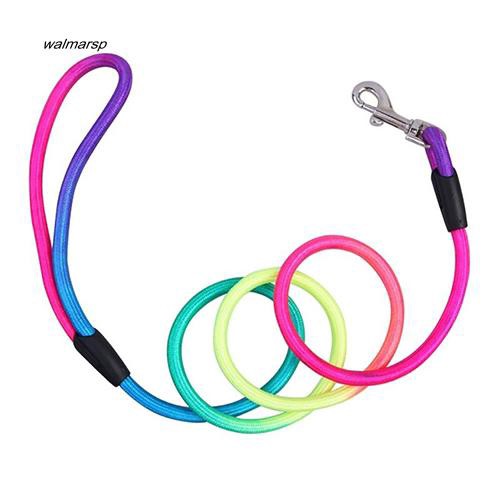 Dây dắt thú cưng dạng tròn nhiều màu sắc