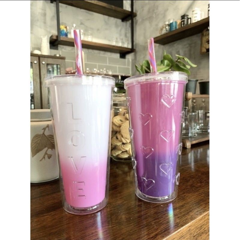 SET 2 LY GIỮ NHIỆT & và ĐỔI MÀU Parker Lane 660ml