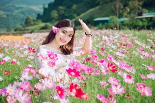 Hạt giống hoa cánh bướm