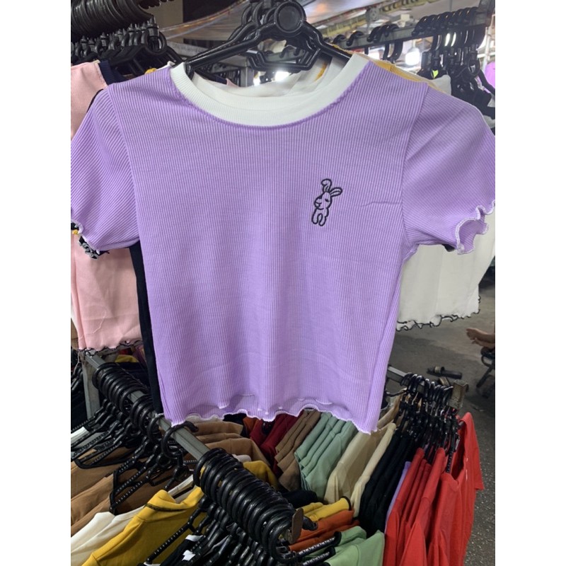 Áo croptop  thêu hình