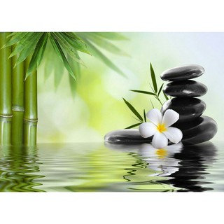Tranh dán tường 3D dán quán spa cao 0.8m*1,25m có keo sẵn