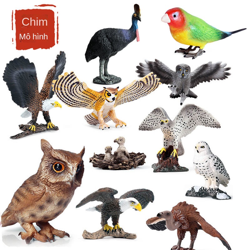 ✘㍿Mô phỏng trẻ em động vật chim mô hình đồ chơi con vẹt đại bàng biển chim cú chim gõ kiến ​​chim đồ trang trí bằng nhựa