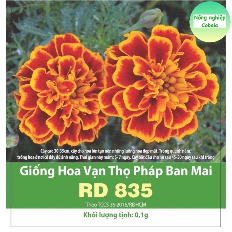 Hạt Giống Hoa Vạn Thọ Pháp Ban Mai 0.1gr