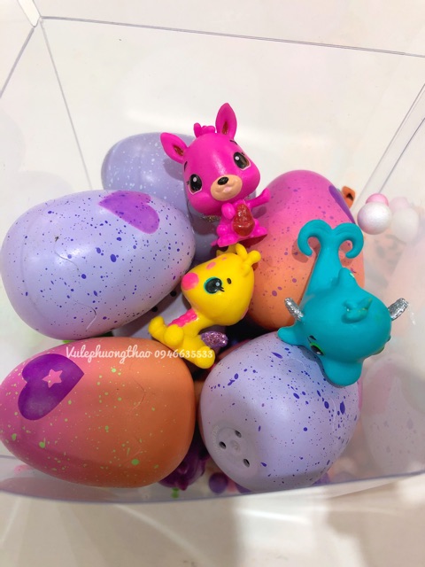 Hộp quà 5 - 10 trứng + 5 - 10 thú Hatchimals