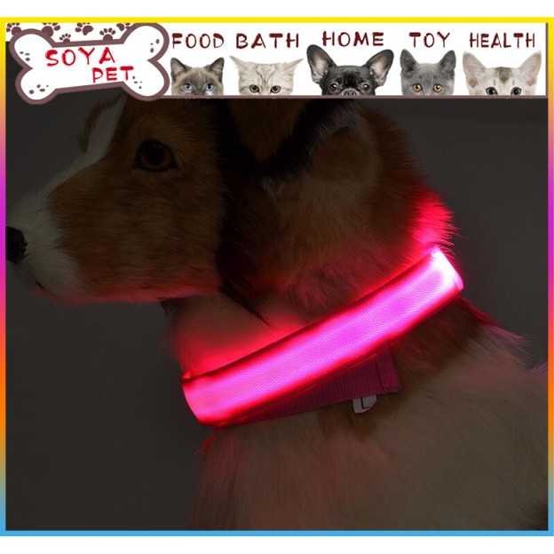 Vòng Cổ Phát Sáng Cho Thú Cưng chó mèo có đèn LED