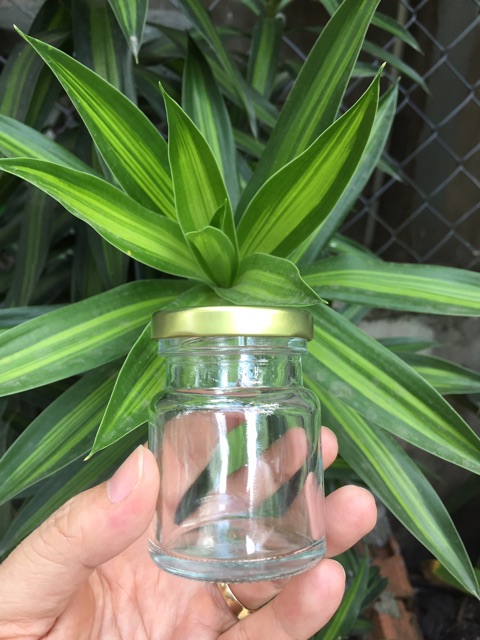 10 hủ thủy tinh 70ml, nắp vặn tay. | BigBuy360 - bigbuy360.vn