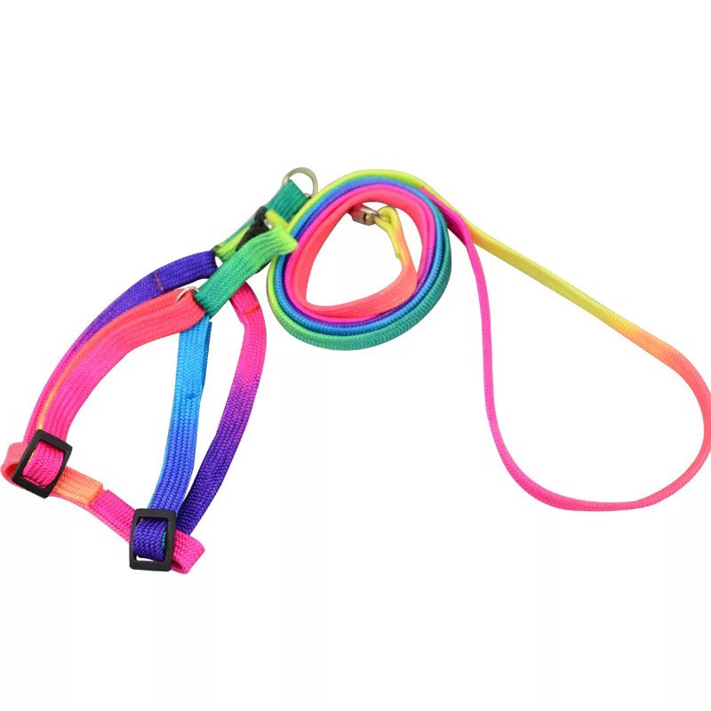 Dây dắt chó mèo 7 màu dành cho thú  - Có yếm đi kèm