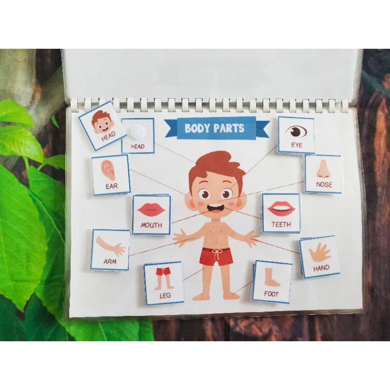 Bộ Học Liệu Bóc Dán Thông Minh Montessori (English) 20 Chủ Đề Tiếng Anh~Giáo Dục Sớm Ngôn Ngữ Cho Bé 2y+