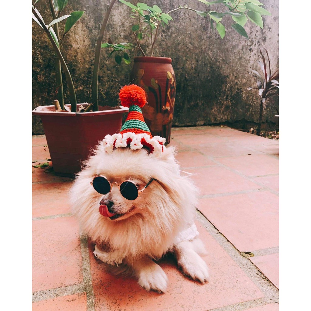 Mũ Len Thủ Công Hình Nón Cho Thú Cưng (Móc theo yêu cầu) - LỘC Homeis