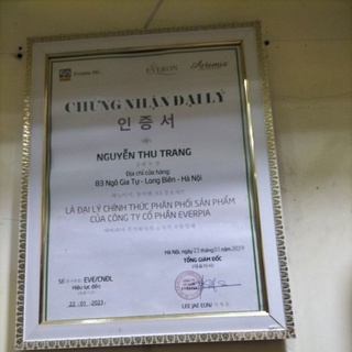 Chăn đông Everon
