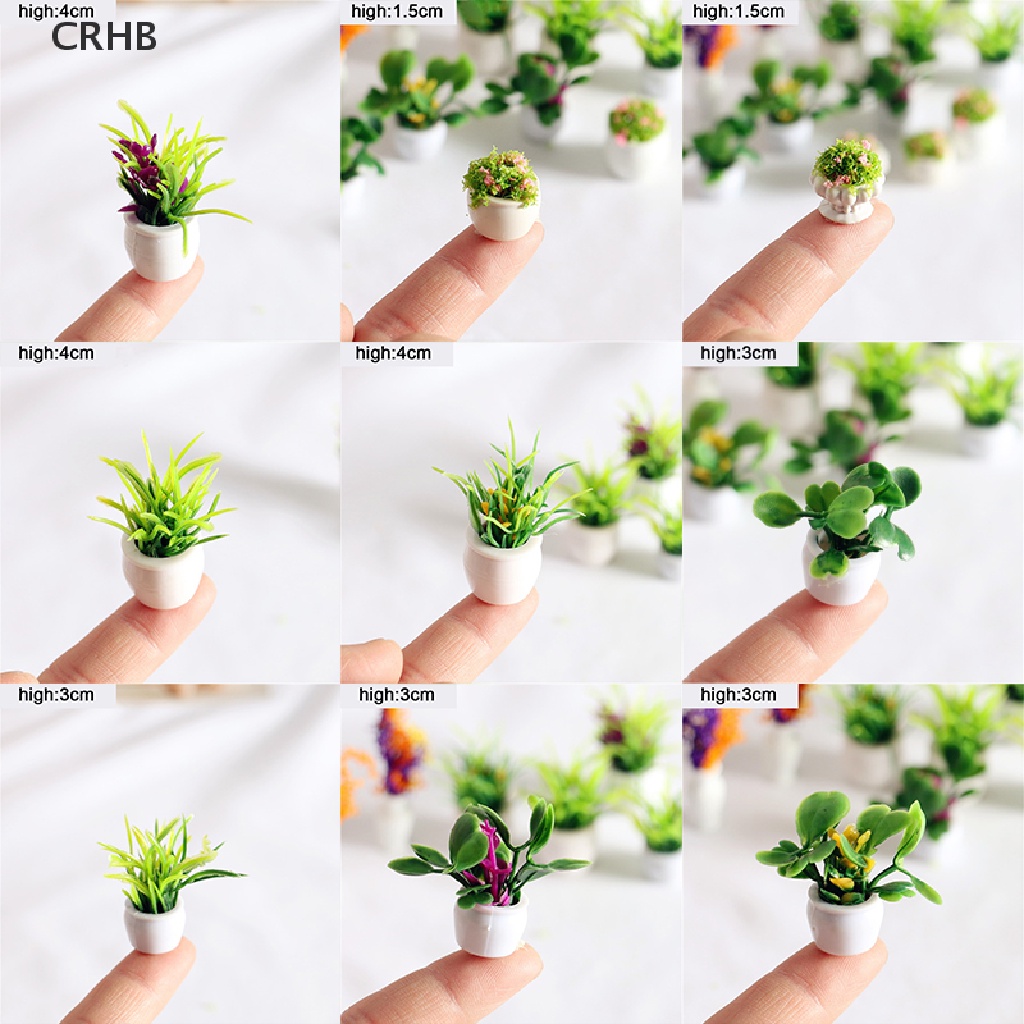 Chậu Cây Mini 12 Kiểu 1: 12 Thân Thiện Với Môi Trường Trang Trí Nhà Búp Bê Mới