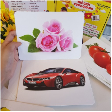 Bộ thẻ học thông minh Flash Card 14 chủ đề khác nhau loại to 15x21cm, giấy dày đẹp bo 4 góc an toàn, dễ dàng tráo tỉe