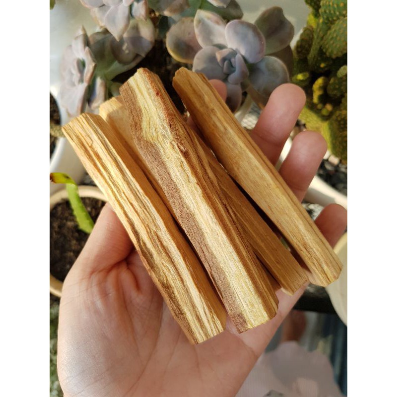 ( Thanh to, hương mạnh )Gỗ thánh Palo Santo dùng trong thanh tẩy không gian, bài Tarot, thiền định, xông nhà