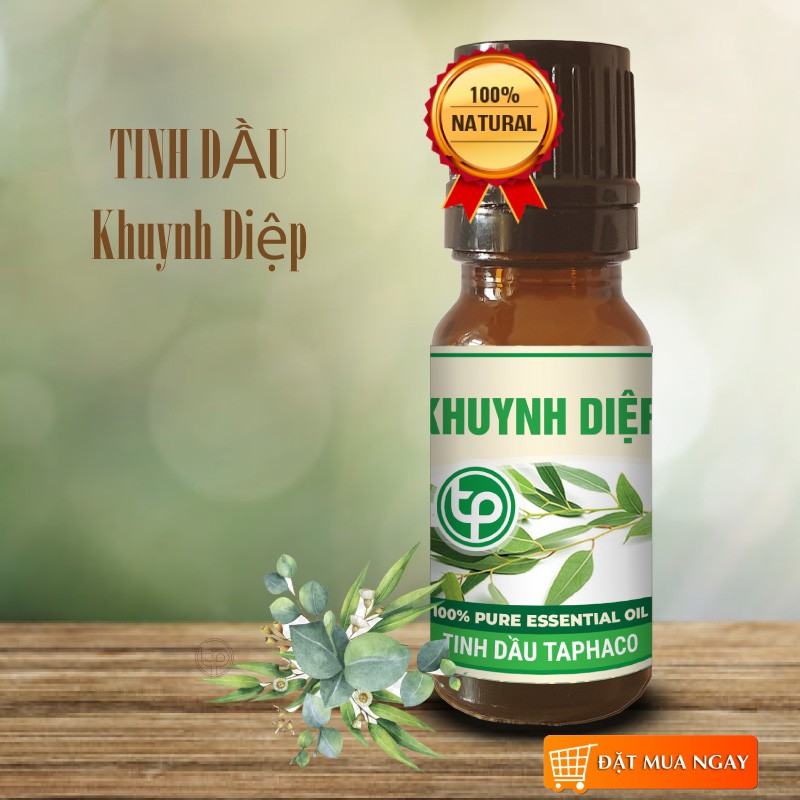 Tinh Dầu Khuynh Diệp 10ml - TaPha cao cấp