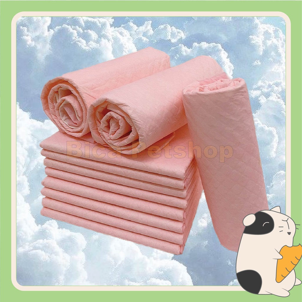 Tã lót cho thú cưng chó, mèo, thỏ, chuột lang