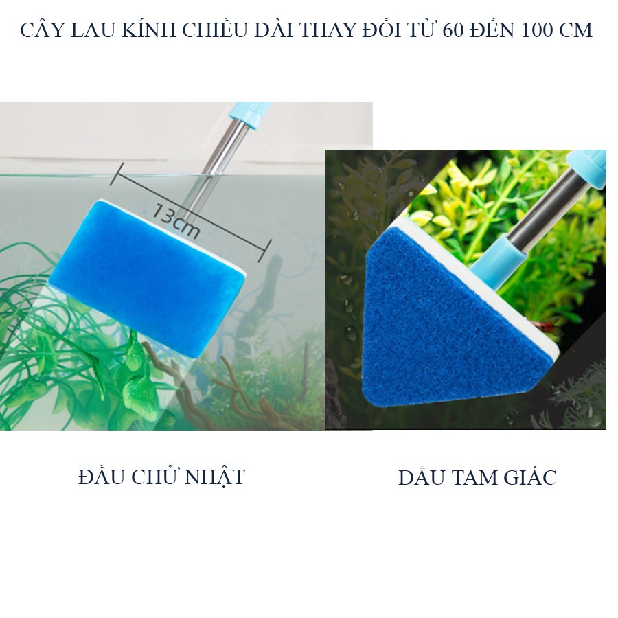 Cây lau kính vệ sinh chà bể hồ cá thủy sinh - Cây chùi hồ thủy sinh hồ cá - dài 47cm