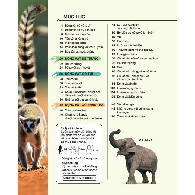 Sách - Bách khoa thiếu nhi động vật có vú (bìa cứng) Tặng Kèm Bookmark