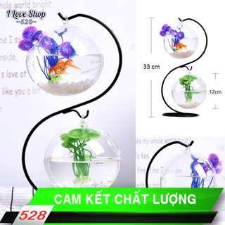 Bể cá mini để bàn hình chữ S mẫu 02