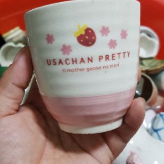 Chậu gốm trồng cây