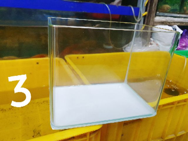 HỒ CÁ ĐÚC BO CONG 2 CẠNH 26x27x19cm