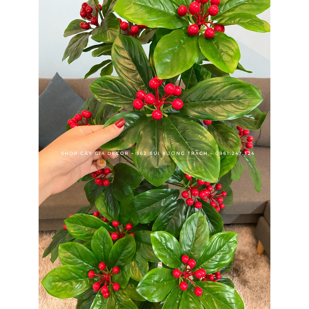 cây giả/cây cherry (kim ngân lượng) cao M4