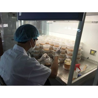 nấm đông trùng hạ thảo khô