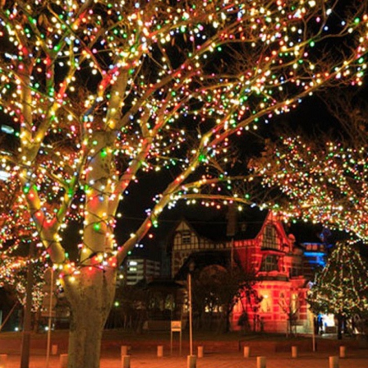 Dây đèn trang trí 50 mét LED- bóng kim cương - An Thư Đồ Gia Dụng