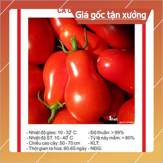 Hạt Giống Cà Chua Lê Đỏ 30 Hạt Hạt giống