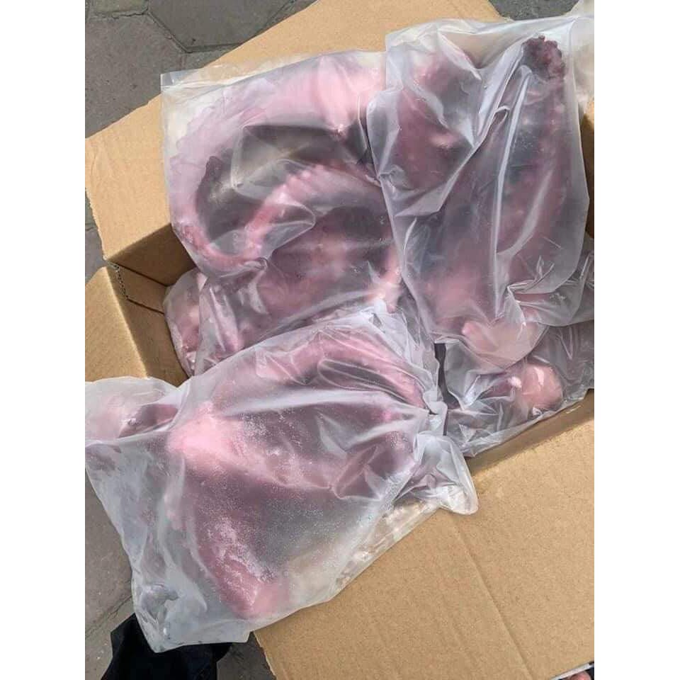 [ Giao hỏa tốc HCM 2h ] 1kg Râu bạch tuộc khổng lồ giòn dai có thể bảo quản lâu chế biến nhiều món | BigBuy360 - bigbuy360.vn