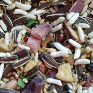 Thức ăn chuột hamter 🐭 250gr 15k ( ngon bổ rẻ )