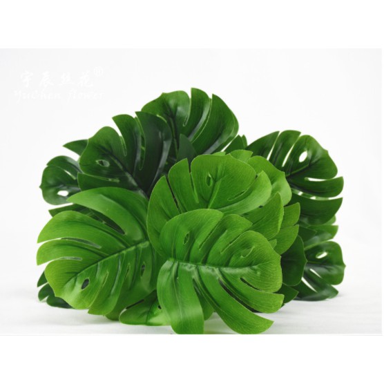 Cây lá rùa giả phù hợp decor trong và ngoại nội thất, lá to cao 50cm