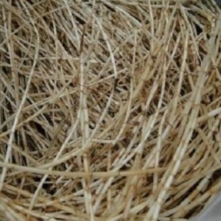 Rễ cỏ tranh phơi khô 1 ký